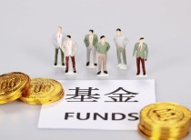 基金机构12月17日调研公司情况概览