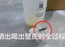 古茗奶茶被曝喝出壁虎，涉事门店停业自查